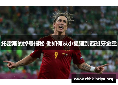 托雷斯的绰号揭秘 他如何从小狐狸到西班牙金童