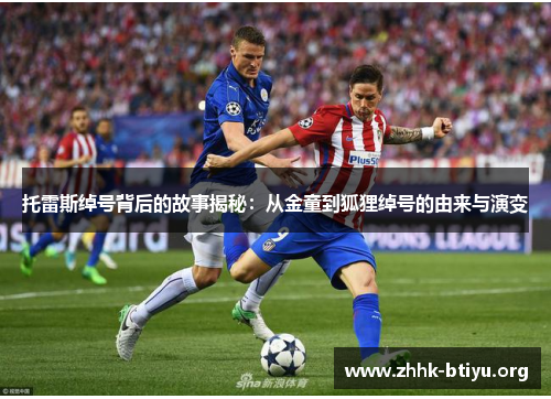 托雷斯绰号背后的故事揭秘：从金童到狐狸绰号的由来与演变